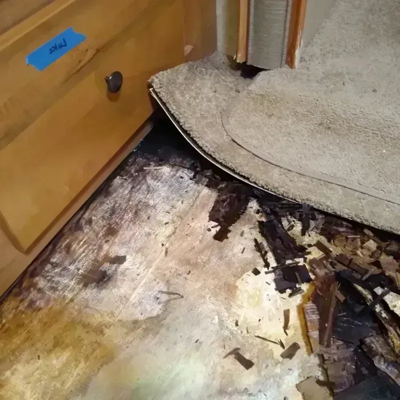 Wood Floor Water Damage in Riverwoods, IL